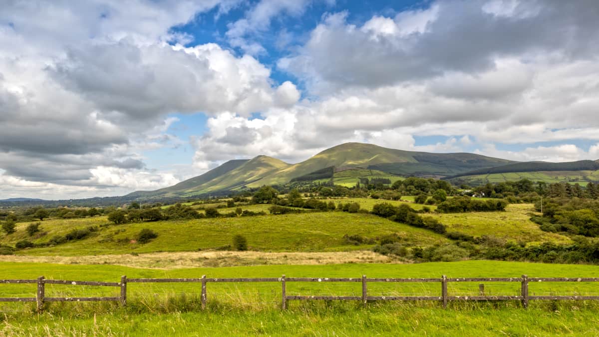 Glen of Aherlow Trail Run - Lisvernane